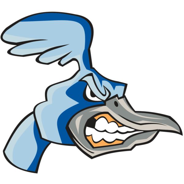 ROADRUNNER HD0503 RQC Thumbnail